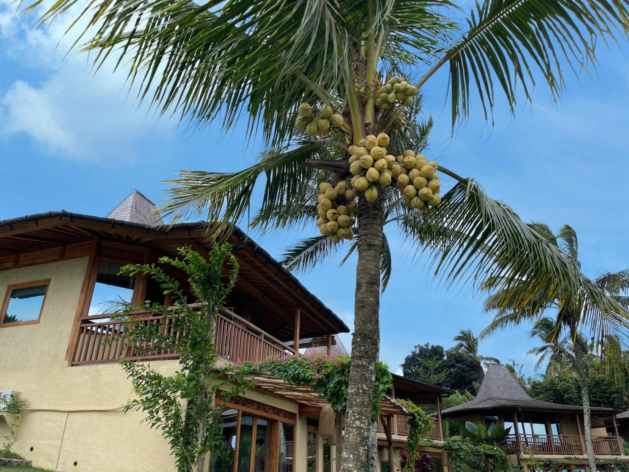 Puri Dajuma Terrace Eco Lodge & Spa Selemadeg  Kültér fotó