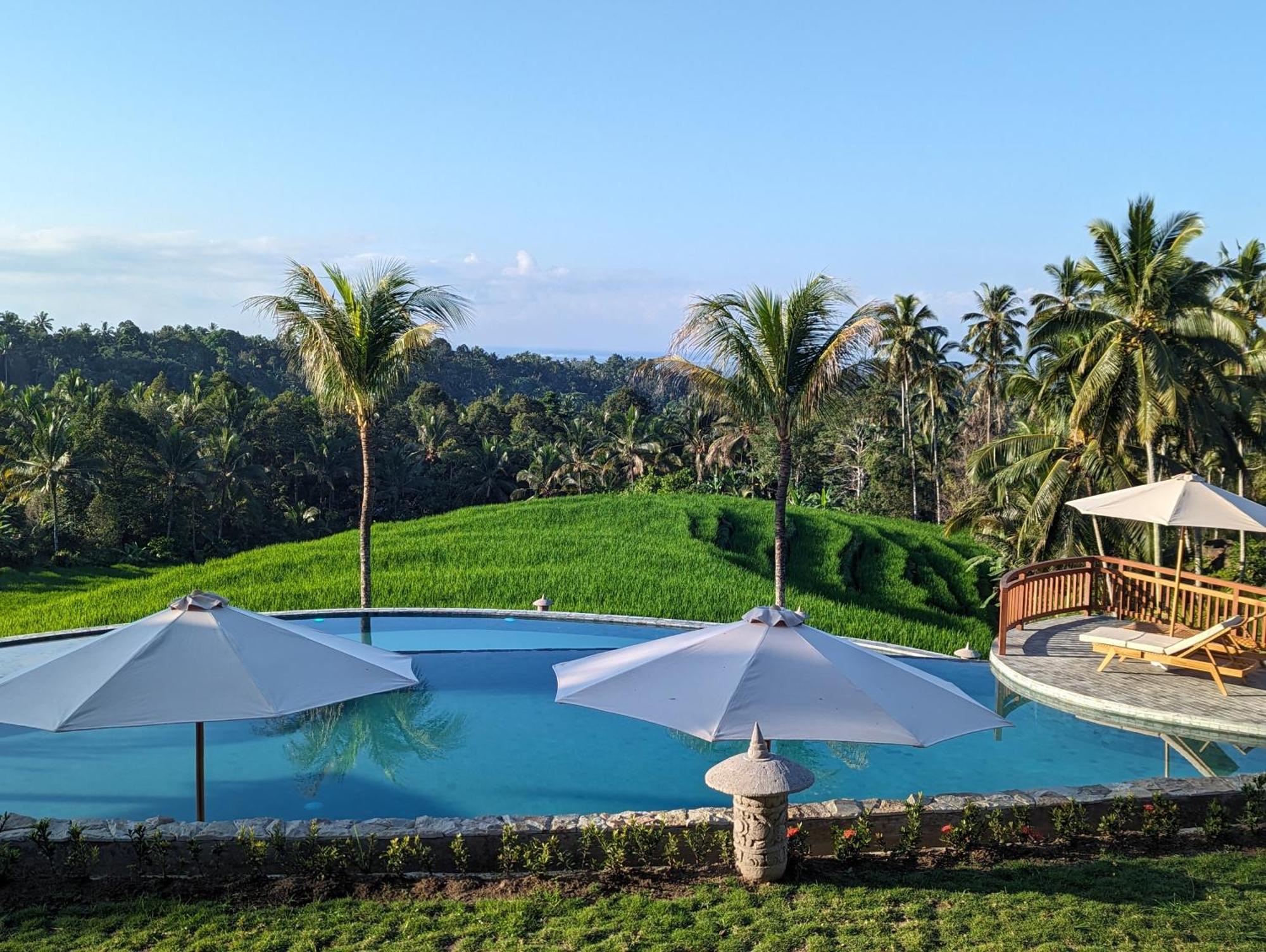 Puri Dajuma Terrace Eco Lodge & Spa Selemadeg  Kültér fotó