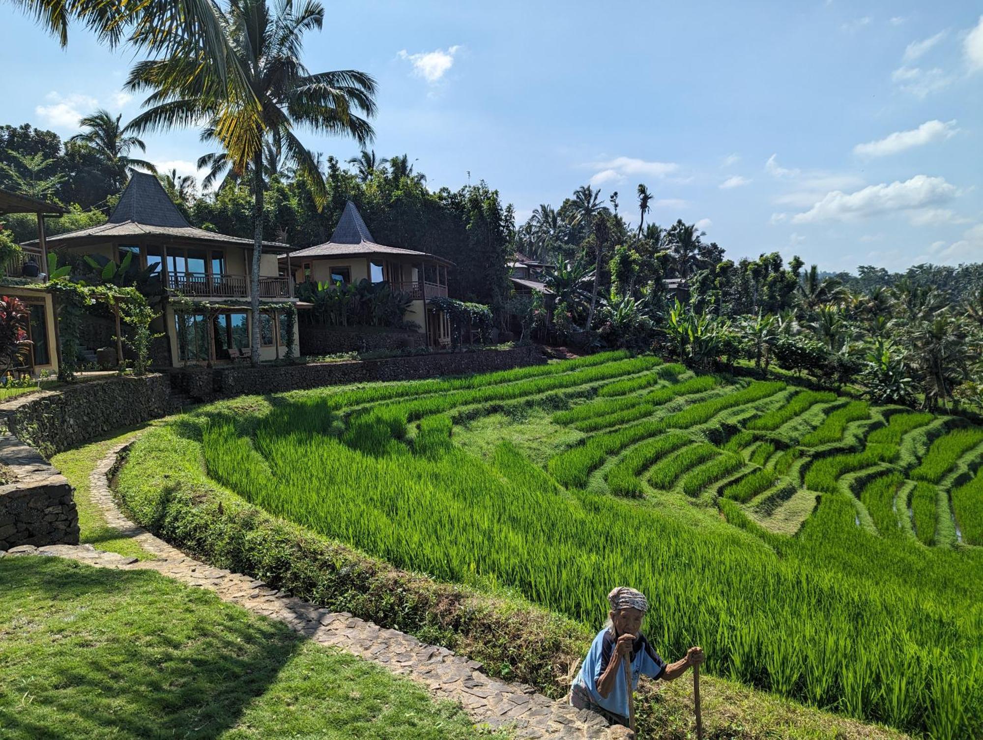 Puri Dajuma Terrace Eco Lodge & Spa Selemadeg  Kültér fotó