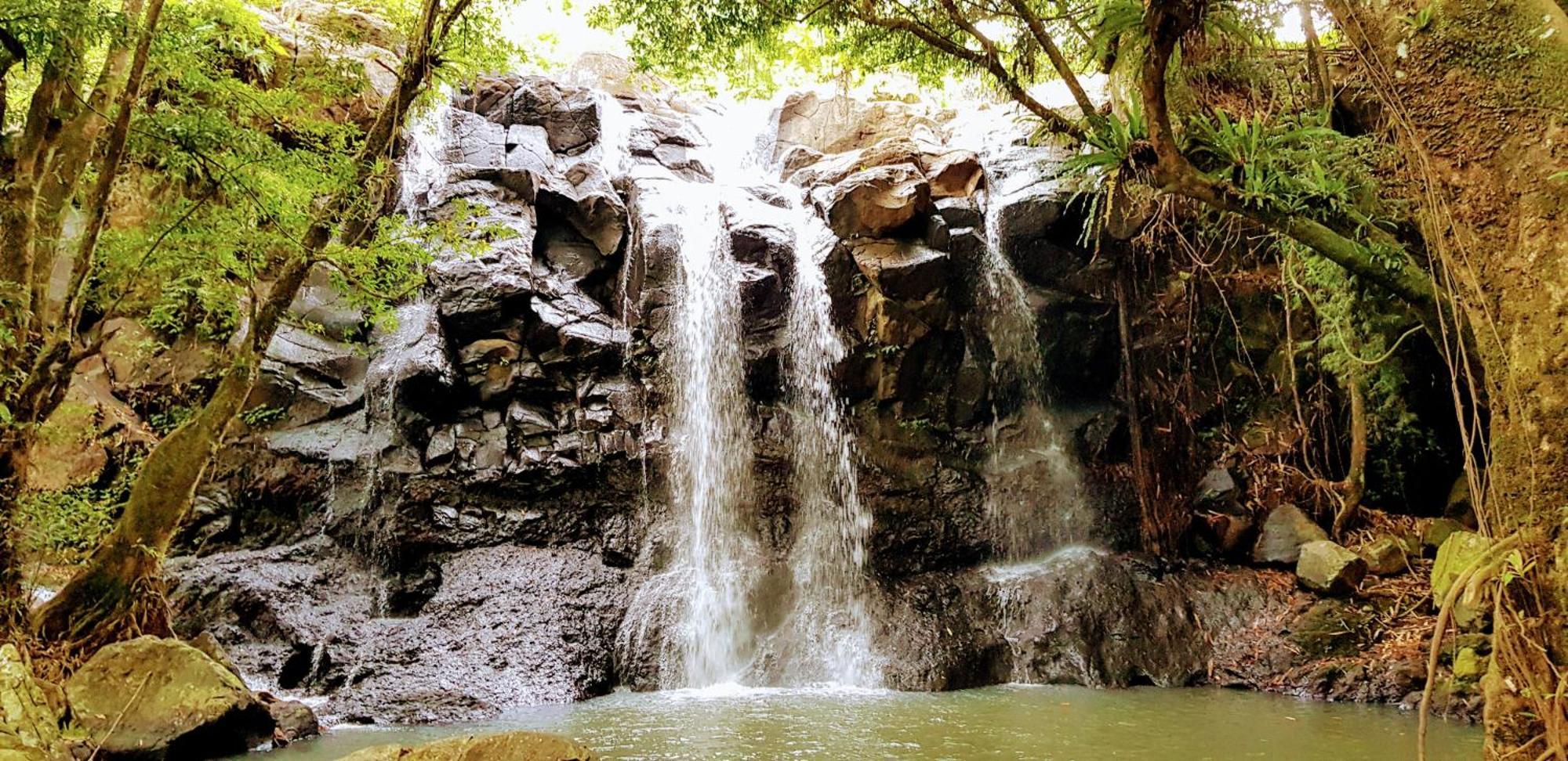 Puri Dajuma Terrace Eco Lodge & Spa Selemadeg  Kültér fotó