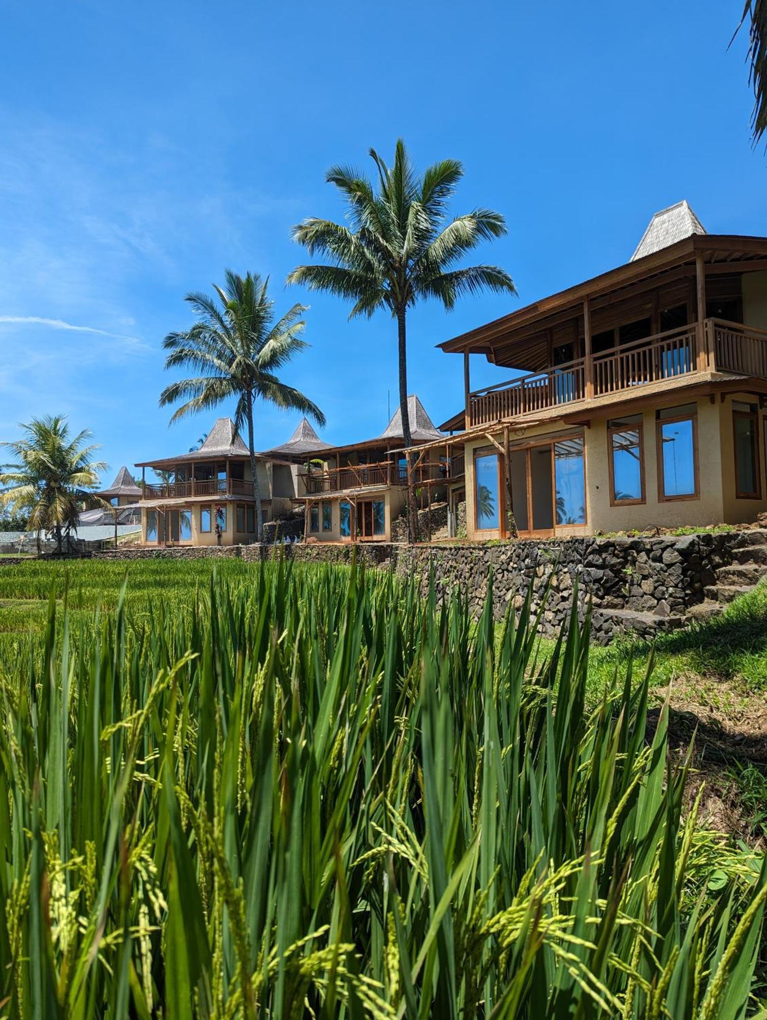 Puri Dajuma Terrace Eco Lodge & Spa Selemadeg  Kültér fotó
