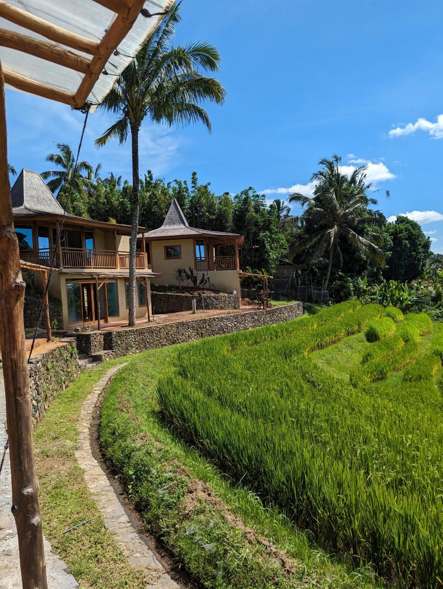 Puri Dajuma Terrace Eco Lodge & Spa Selemadeg  Kültér fotó